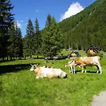 Schrim Fiegler