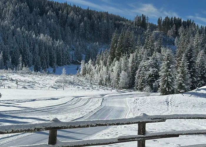 Schrim شقة Fiegler