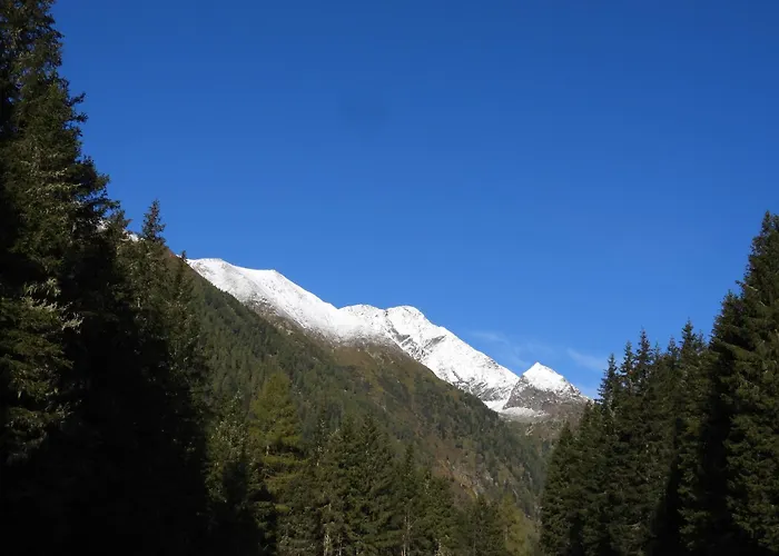 شقة Schrim Fiegler